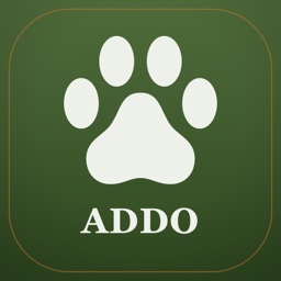 Addo Safari