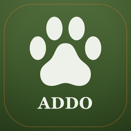 Addo Safari