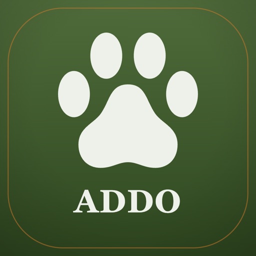 Addo Safari