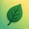 Tree Leaf Identifier & Finder app icon - Education app for iPhone