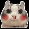 Meme cat emotion 2 icon