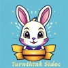 Turnthink Sidec icon