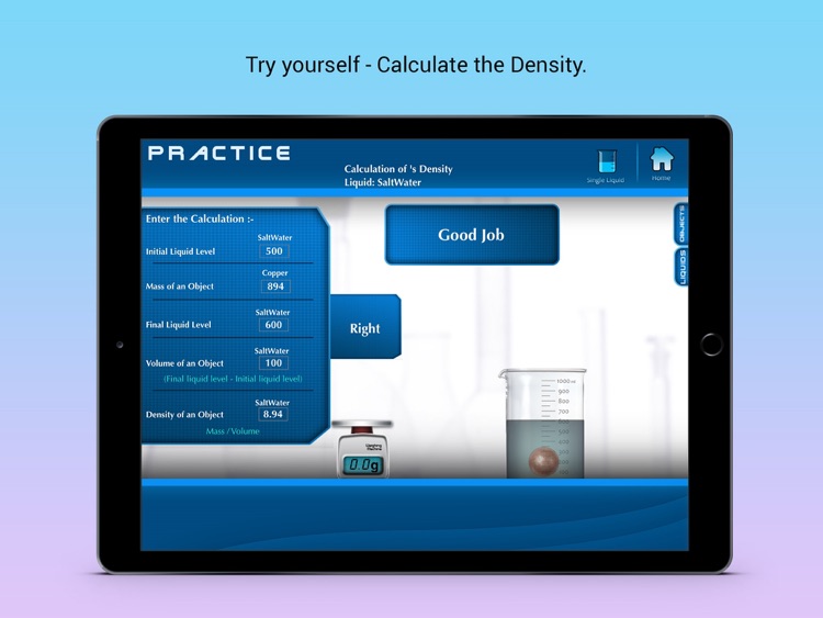 Density of Solids screenshot-3