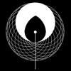 Elemental Forces icon