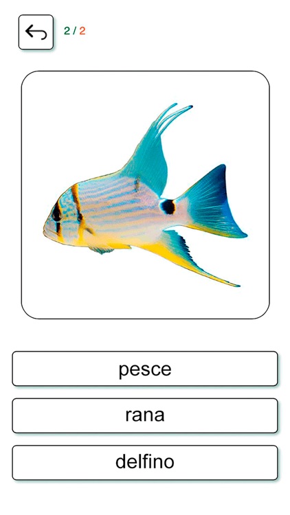 Learn and play Italian