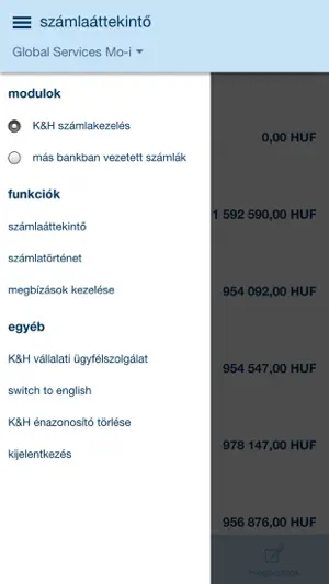 K&H Electra24 screenshot 4