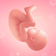 맘스다이어리: 진통어플과 임신어플과