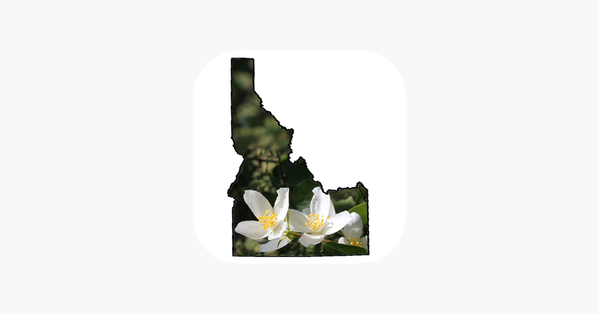 apps.apple.com