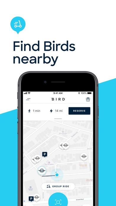 Bird — Ride Electric Screenshot