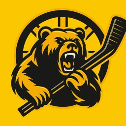 Boston Bruins Hockey Fan News