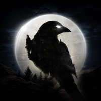 NIGHT CROWS icon