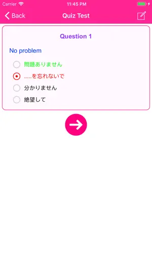 Learn Japanese Phrases Offline screenshot 4