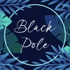 Black Pole icon