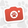 Get Locket Pets for iOS, iPhone, iPad Aso Report