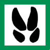 Viltspår - domesticusdevelop