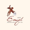 Hotel Engel icon