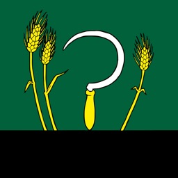 Michaľany