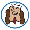 Salty Dog Car Wash icon