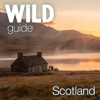 Wild Guide Scotland II - Wild Things Publishing Ltd