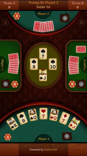 28 Card Game (Twenty Eight) screenshot 4