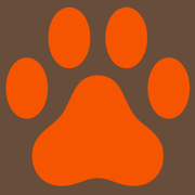 PilanesbergSafari