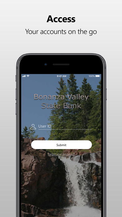 Bonanza Valley State Bank Screenshot
