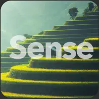Sense: The HSP App