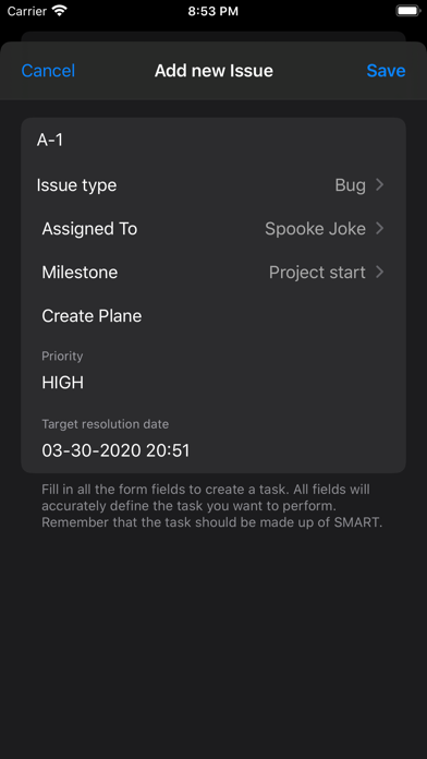 PM Issue Log Screenshot 5 of 10