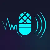 Echo Voice Recorder - Icona app