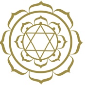 AOL IWC