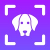 Dog Breed Identifier: Dogpedia icon