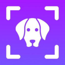 Dog Breed Identifier: Dogpedia