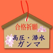 ガンマ・高圧・潜水　資格　plus