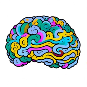 Mind Maven