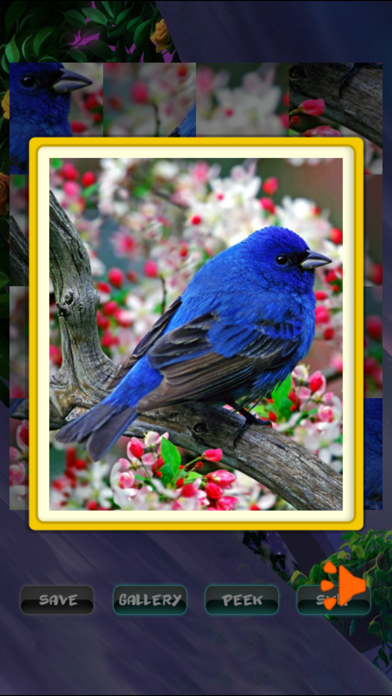 Screenshot #3 pour Spring Jigsaw Puzzles