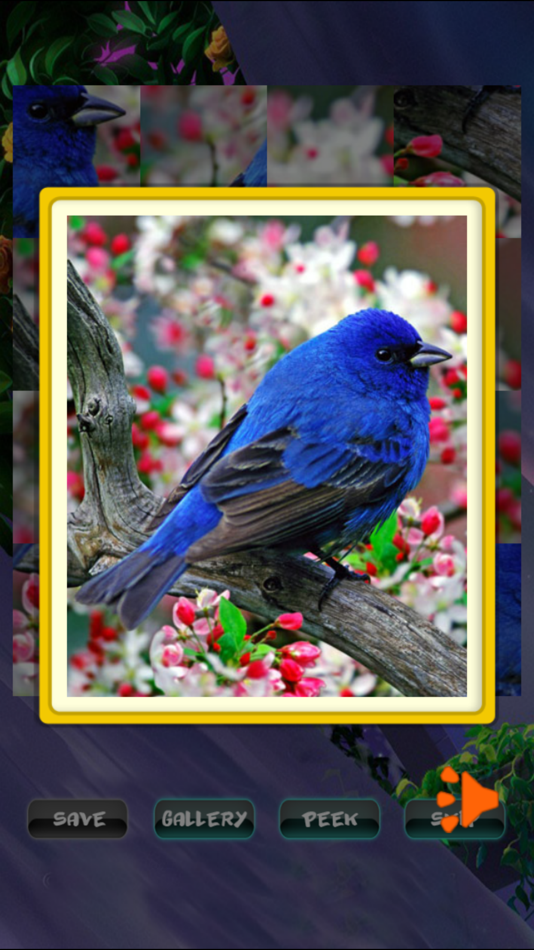#3. Spring Jigsaw Puzzles (iOS) Podle: John Smith