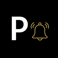 Piezopy app icon - Developer Tools app for iPhone