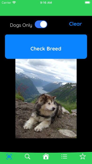 The Dog Breed App Screenshot