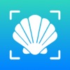 Sea Shell Identifier - AI ID app icon - Education app for iPhone
