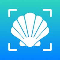 Sea Shell Identifier - AI ID app icon - Education app for iPhone