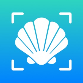 Sea Shell Identifier - AI ID