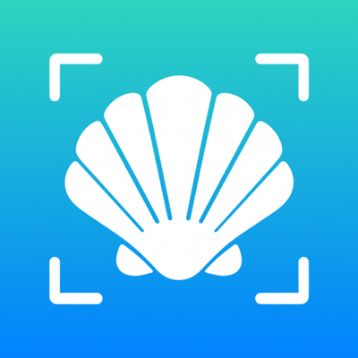 Sea Shell Identifier - AI ID