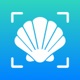 Sea Shell Identifier - AI ID app icon - Education app for iPhone