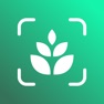 Get Tree identifier:Plant Care App for iOS, iPhone, iPad Aso Report