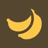 Evoliz App - App Icon