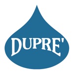 Download Dupré Logistics Fleet Connect app