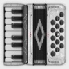 Accordion Piano Cassoto icon