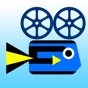 Fisheye Fun app download