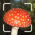 Mushroom Identification. App Cancel