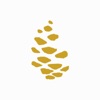 Pinecone Yoga icon